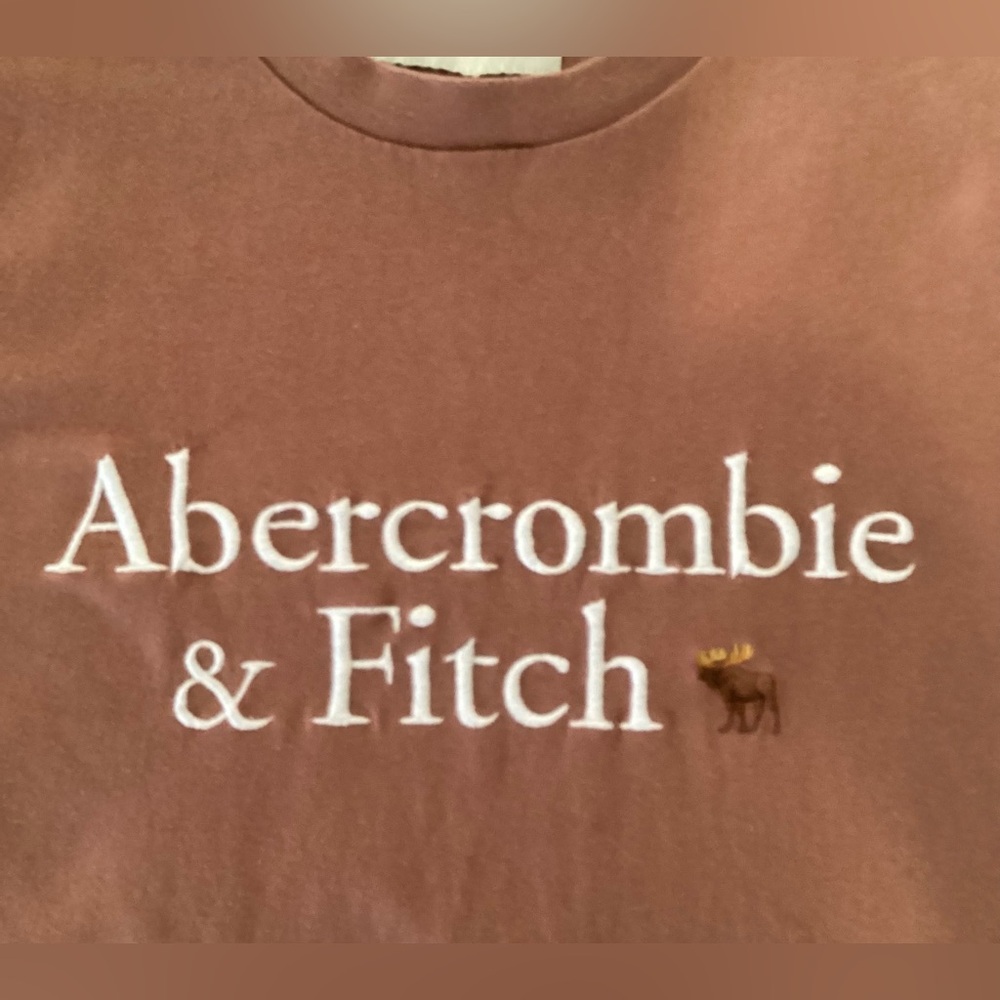 Abercrombie & Fitch Y2K Tee - Picture 5 of 8